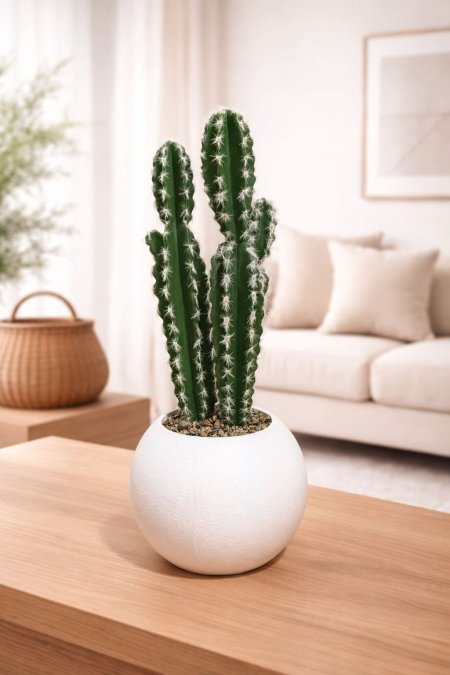 صبار شمعدان صناعي مع قور اسود